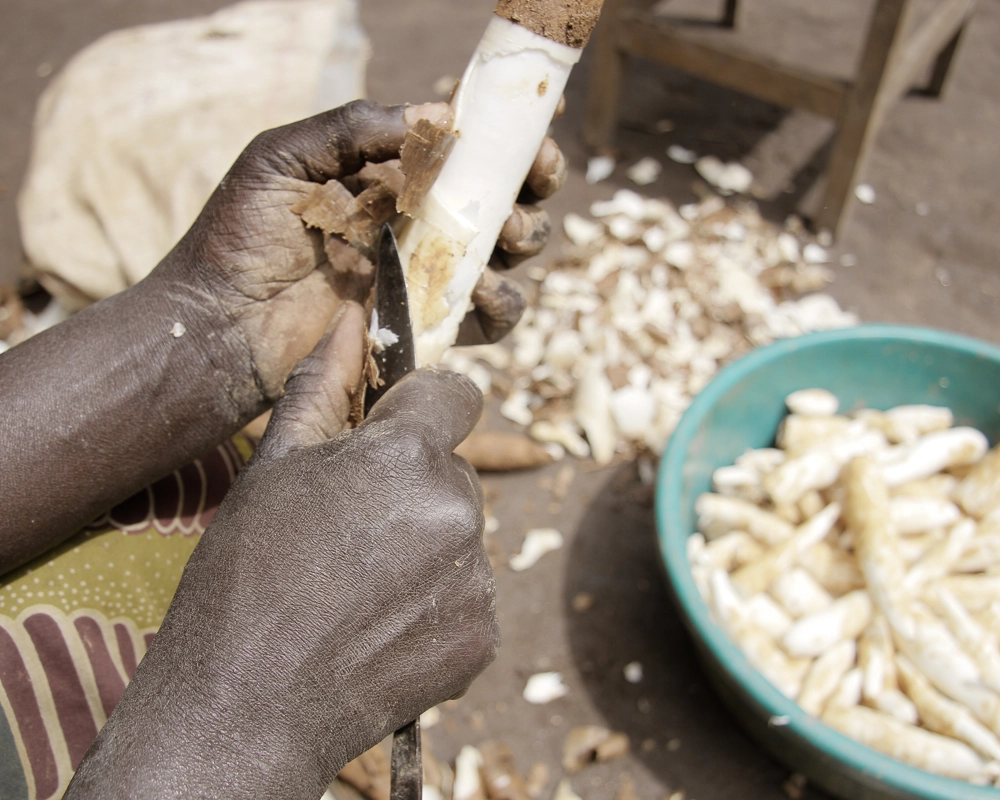 Adobestock 373299815 Adobestock 373299815