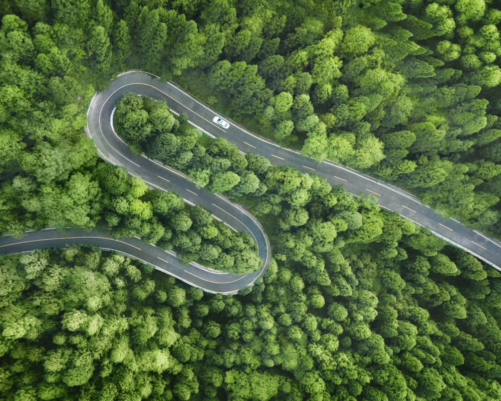 Adobestock 444293528 Adobestock 444293528