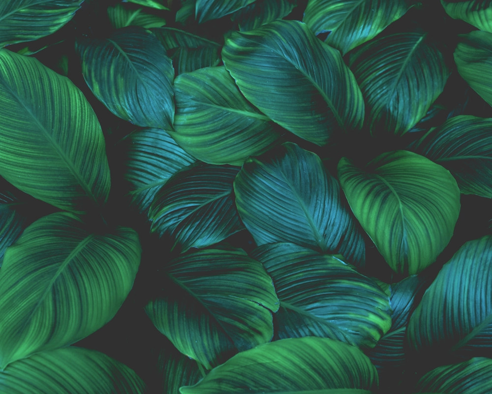 Adobestock 293172041 Adobestock 293172041