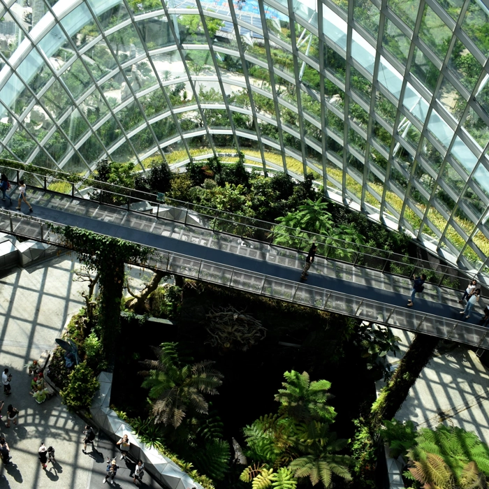 Glass observatory Glass observatory