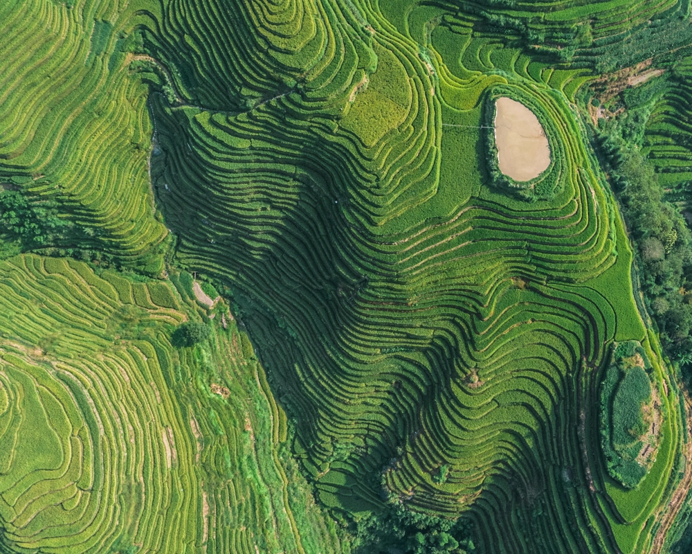 Green fields Green fields