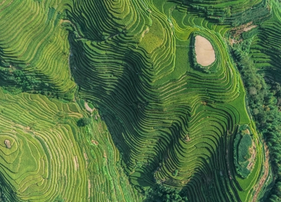 Green fields Green fields