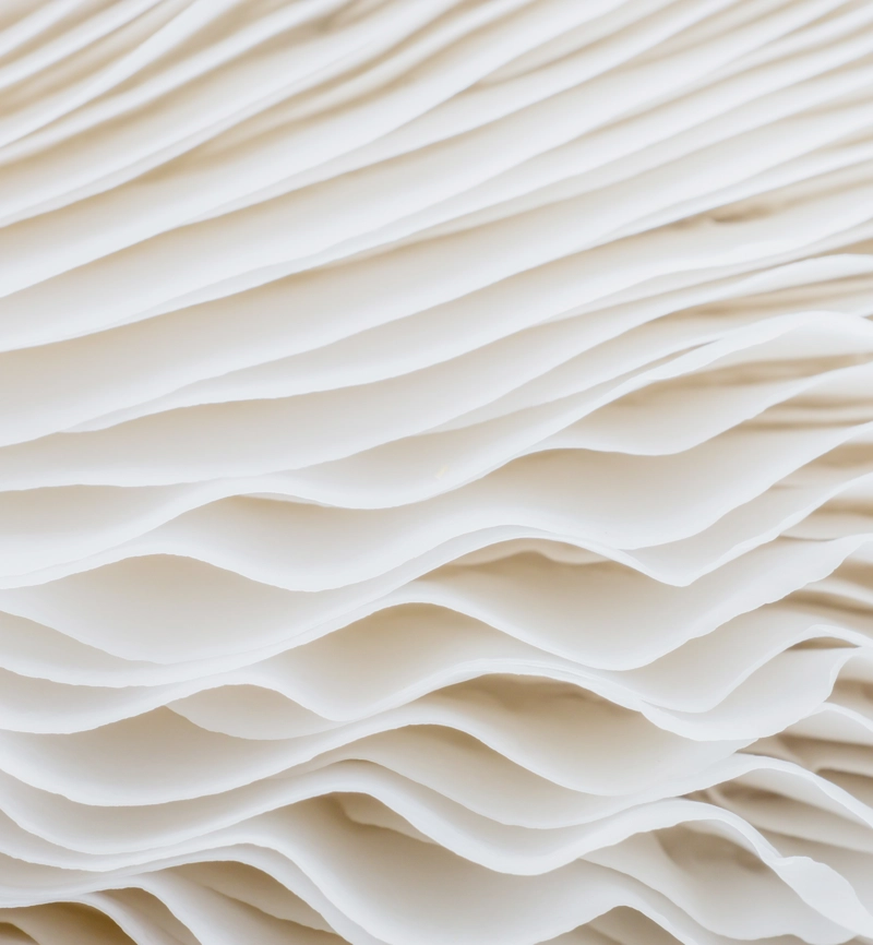 white abstract with texture white abstract with texture