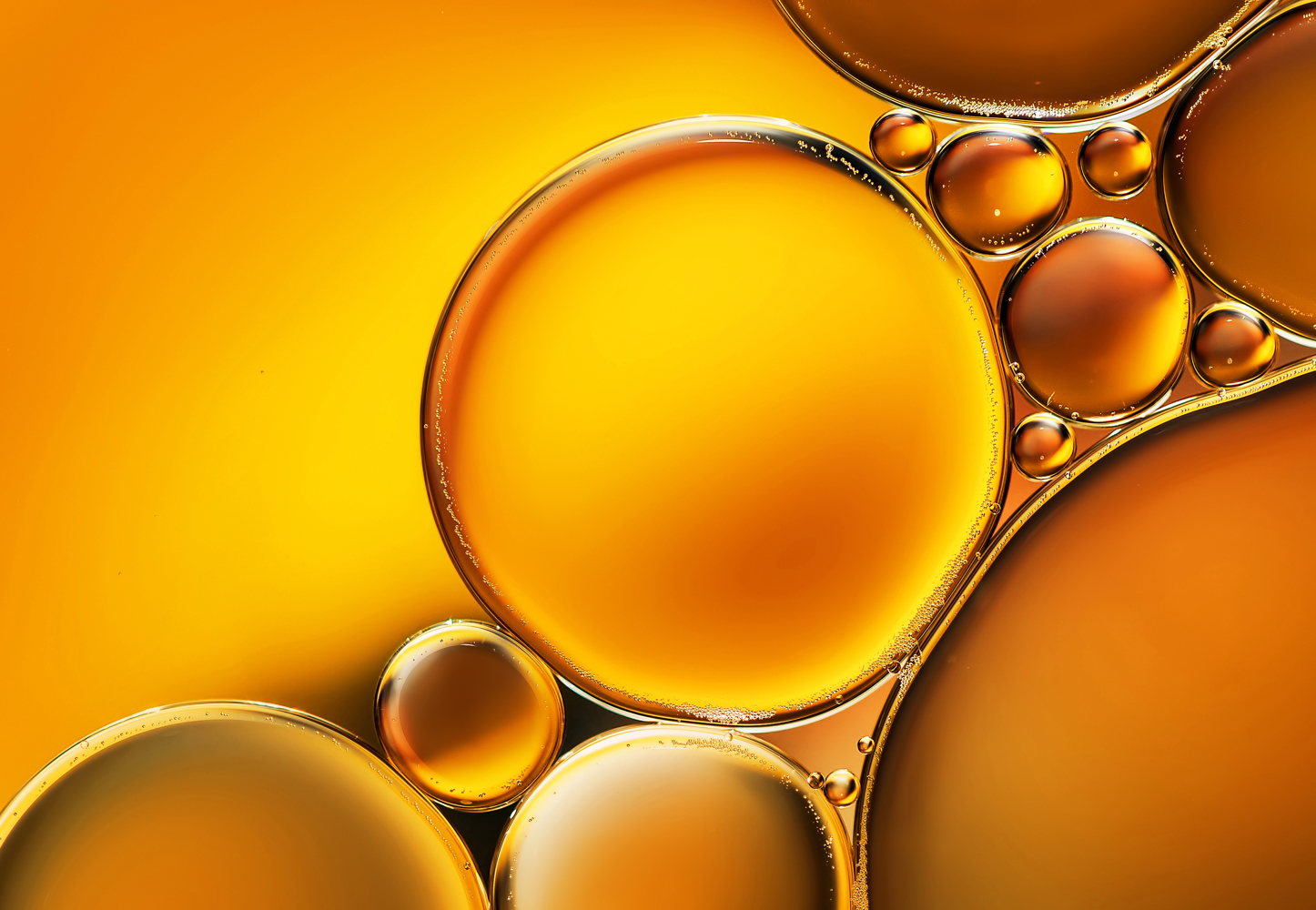 Adobestock 166006167 Adobestock 166006167